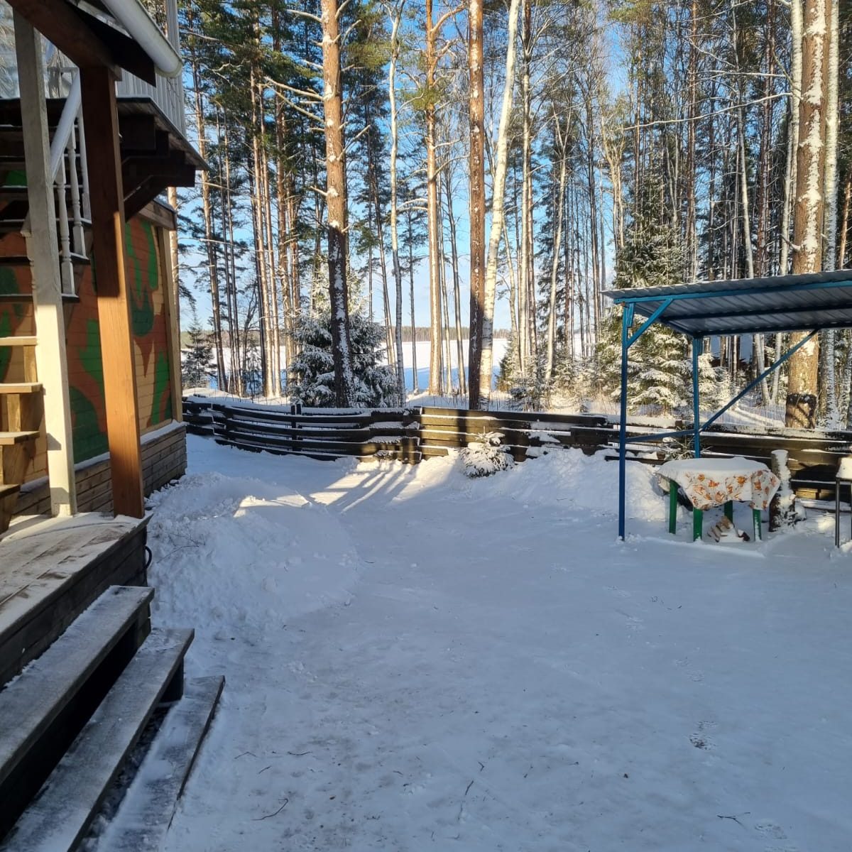 база отдыха в Ленинградской области
